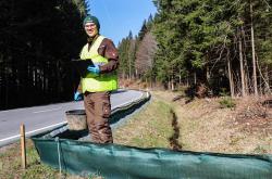 Lennart Berger macht sein Freiwilliges Ökologisches Jahr im Nationalpark Bayerischer Wald und engagiert sich gerne beim Amphibienschutzprojekt. (Foto: Nationalpark Bayerischer Wald)