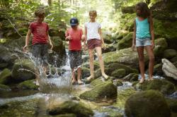 Bei einem dreitätigen Erlebnisangebot können Kinder in den Pfingstferien wilde Wasser im Nationalpark entdecken. (Foto: Jan Grüne)