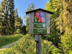 Bei einer Tageswanderung geht es in das Landschaftsschutzgebiet und den Nationalpark Šumava. (Foto: Sandra Schrönghammer/Nationalpark Bayerischer Wald)